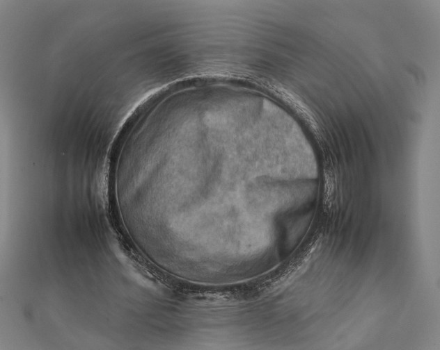 X0000112090580200908251129