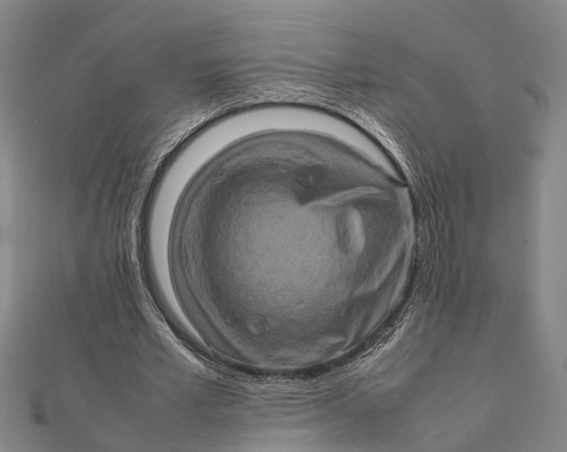 X0000112090581200908251129