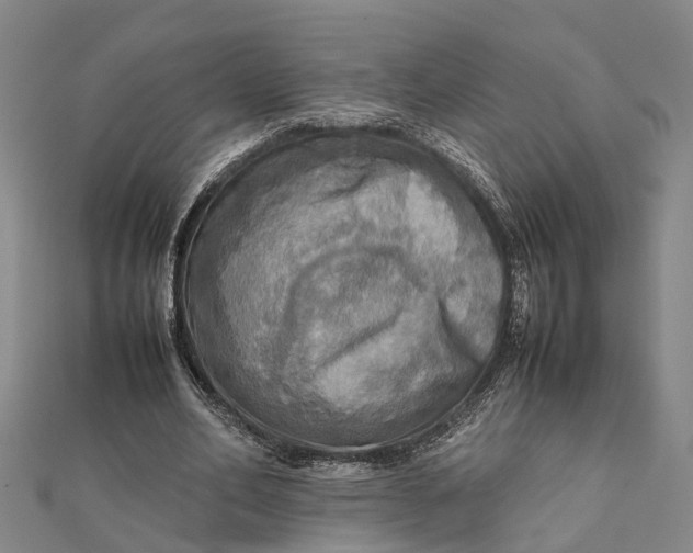 X0000112090582200908251129