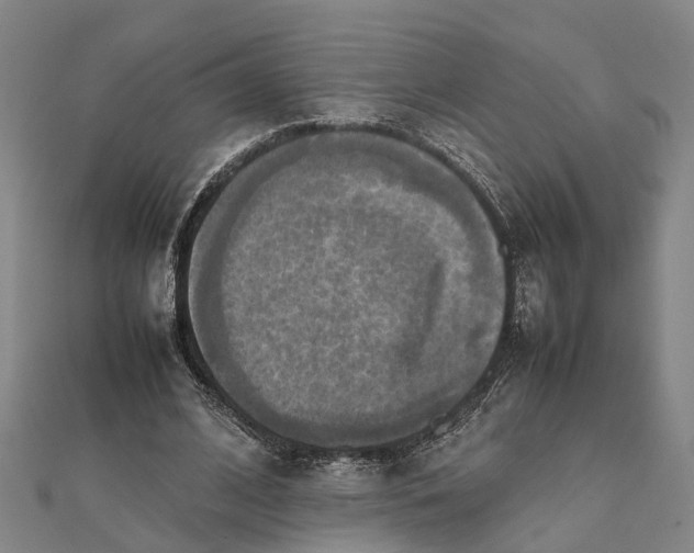 X0000112090584200908251129