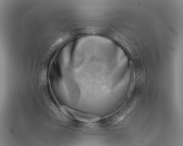 X0000112090585200908251129