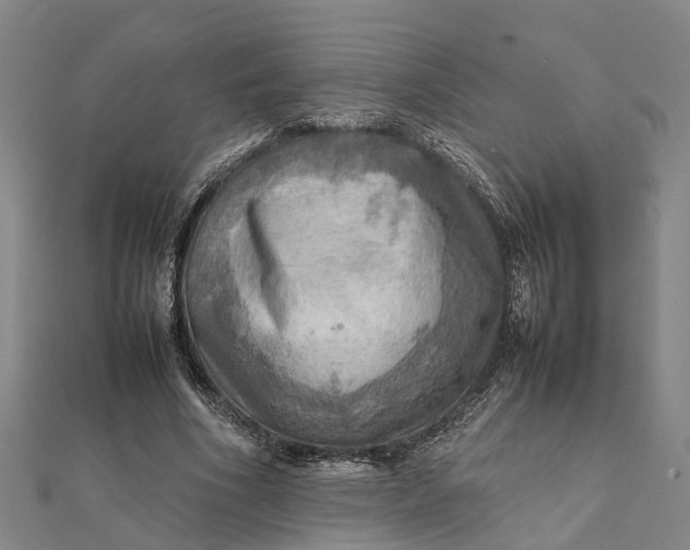 X0000112090586200908251129
