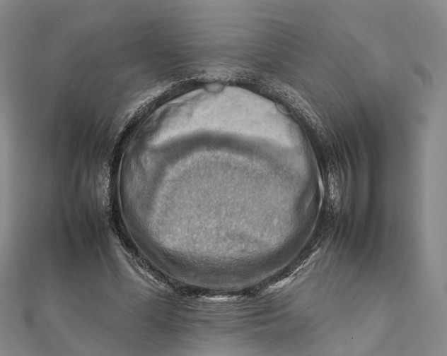 X0000112090588200908251129