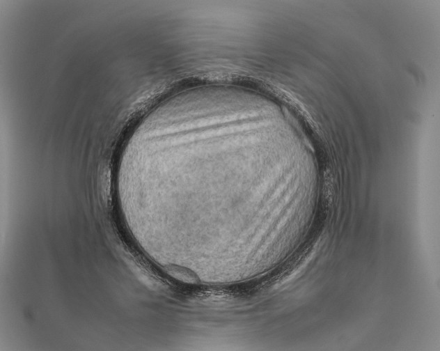 X0000112090589200908251129