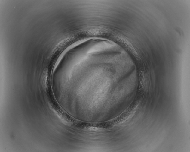 X0000112090590200908251129
