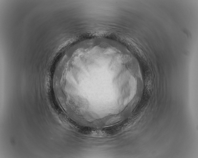 X0000112090591200908251129