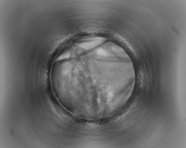 X0000112090592200908251129