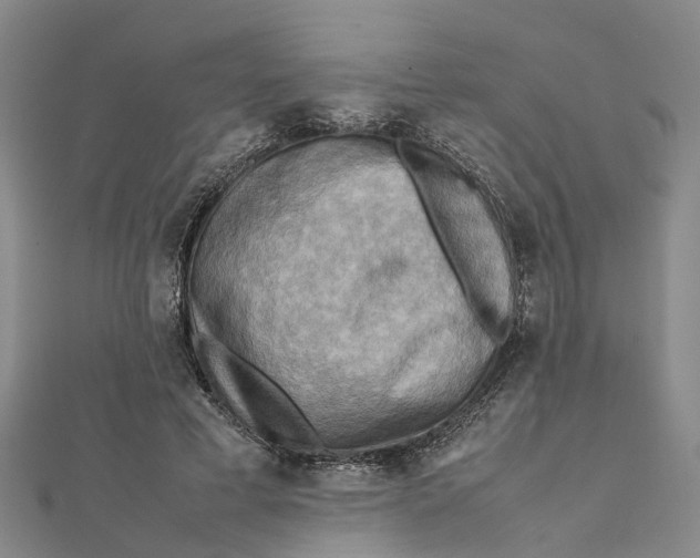X0000112090593200908251129