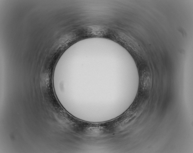 X0000112090595200908251129