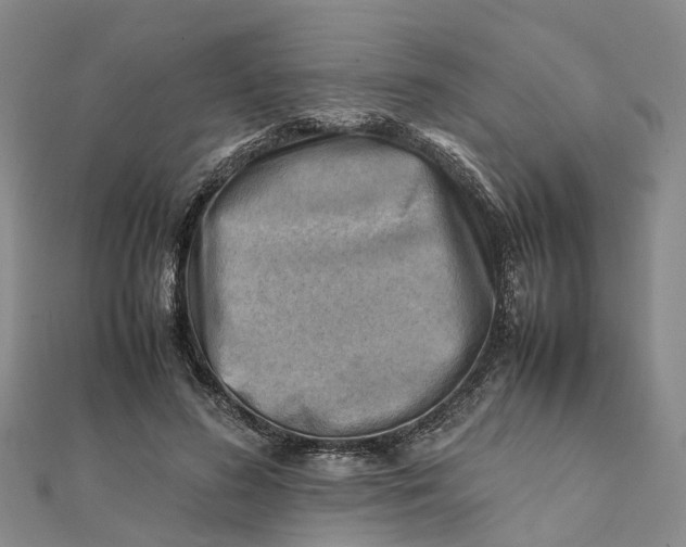 X0000112090596200908251129