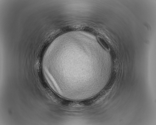 X0000112090597200908251129