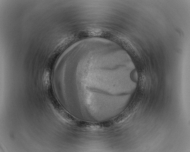 X0000112090598200908251129