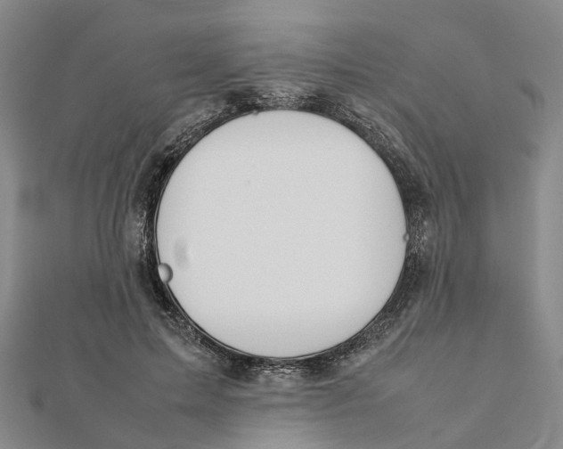 X0000112090599200908251129