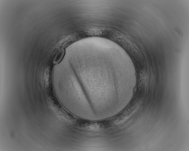 X0000112090600200908251129