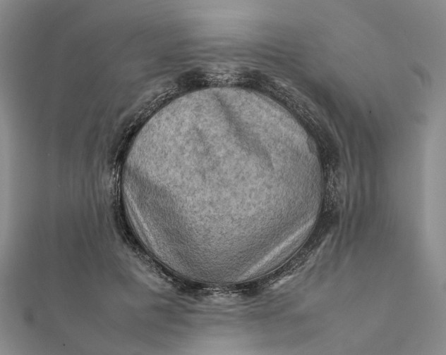 X0000112090601200908251129