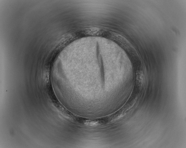 X0000112090602200908251129