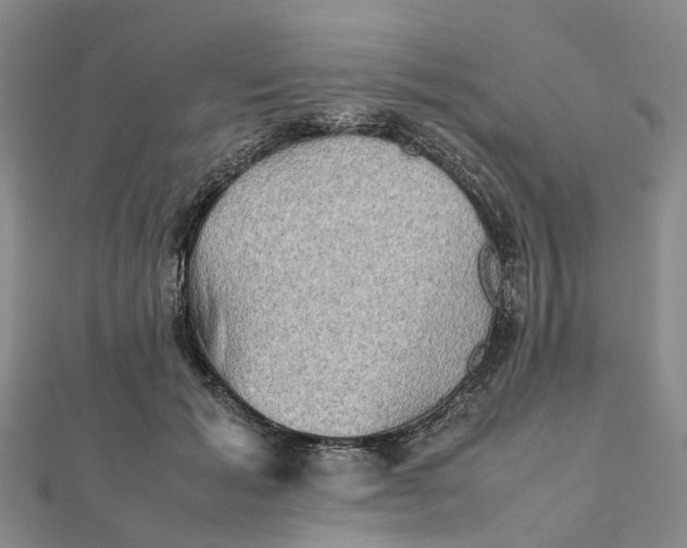 X0000112090605200908251129