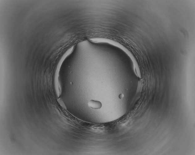 X0000112090606200908251129