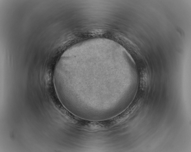 X0000112090608200908251129