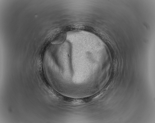 X0000112090609200908251129