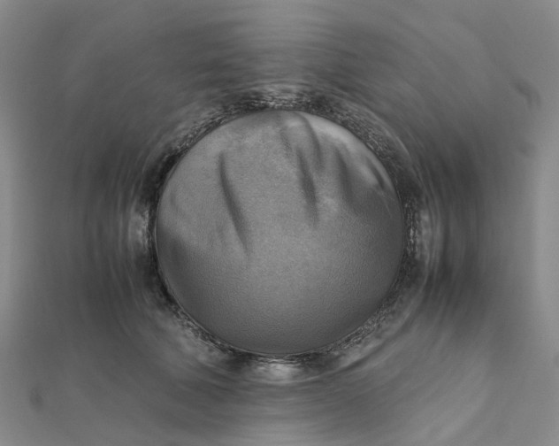 X0000112090610200908251129