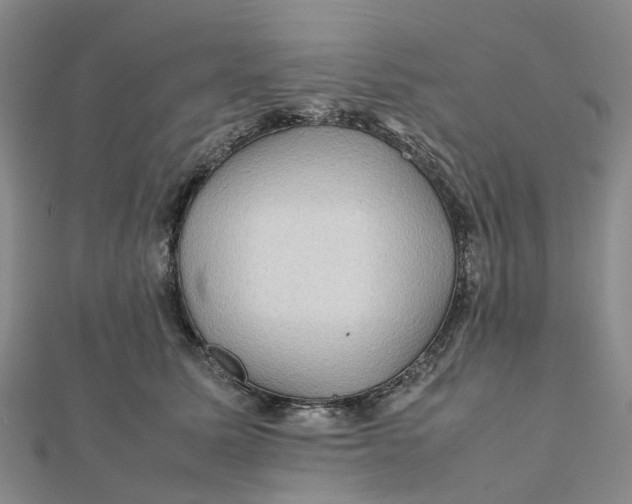 X0000112090611200908251129