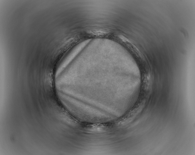 X0000112090612200908251129