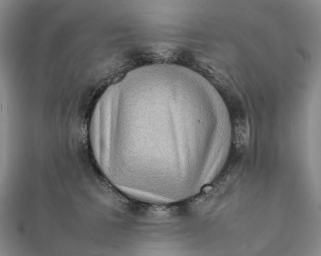 X0000112090613200908251129