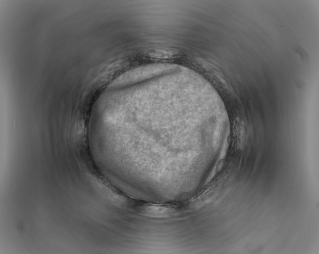 X0000112090614200908251129