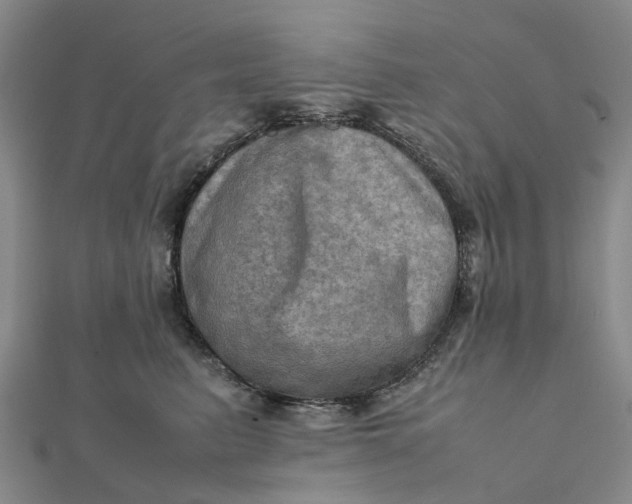 X0000112090615200908251129