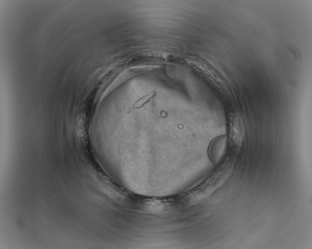 X0000112090616200908251129