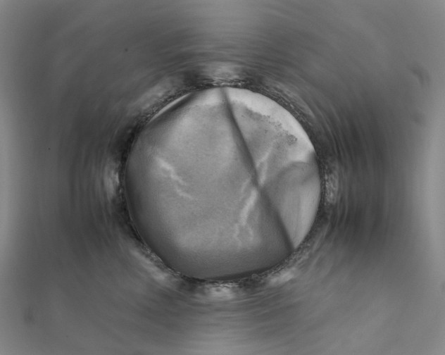 X0000112090618200908251129