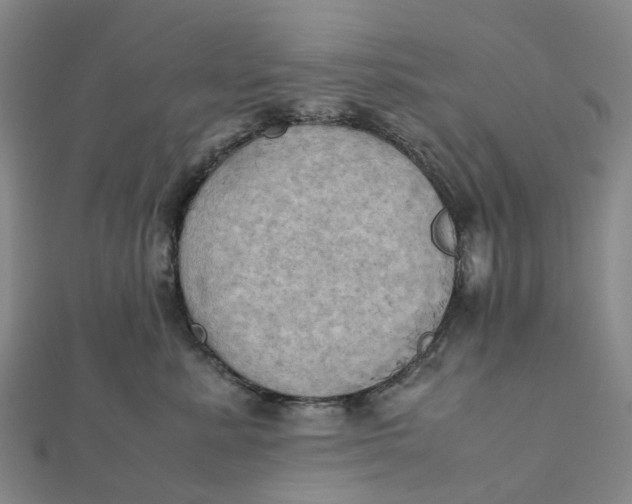 X0000112090619200908251129