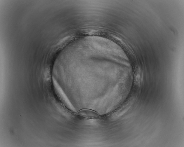 X0000112090620200908251129