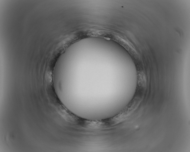 X0000112090621200908251129