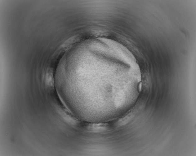 X0000112090622200908251129