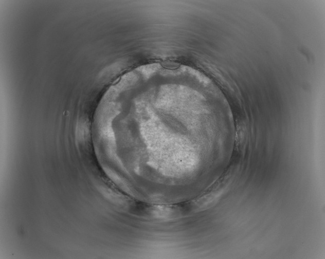 X0000112090623200908251129