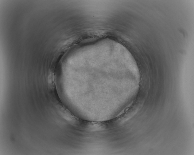 X0000112090624200908251129