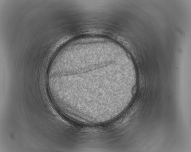 X0000112090625200908251128