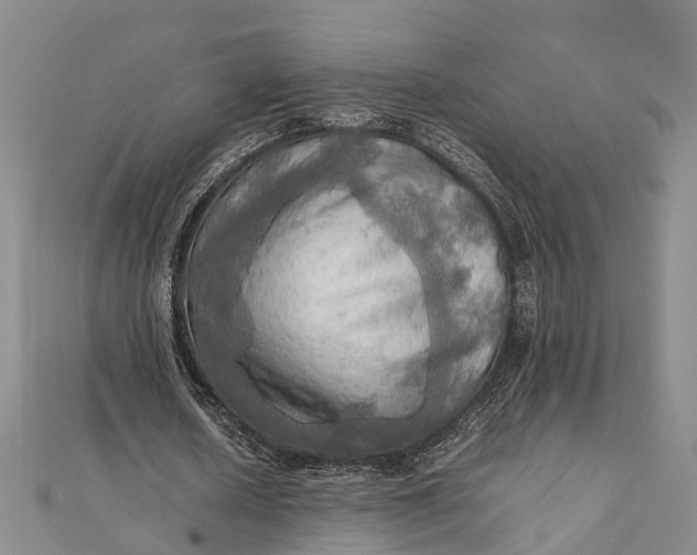 X0000112090626200908251128