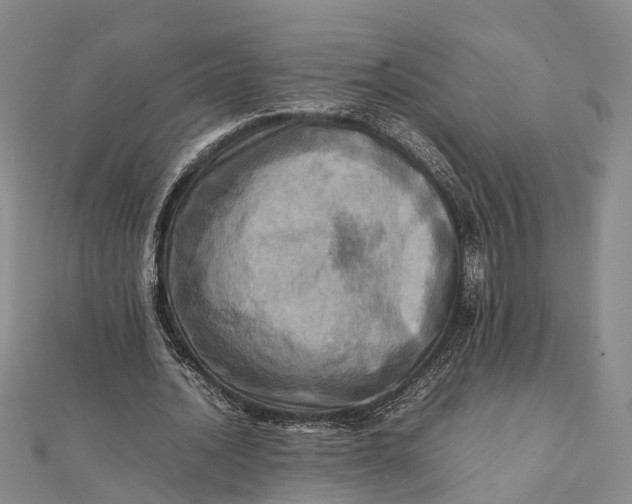 X0000112090628200908251128