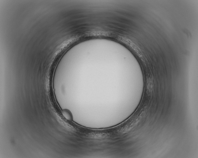 X0000112090629200908251128