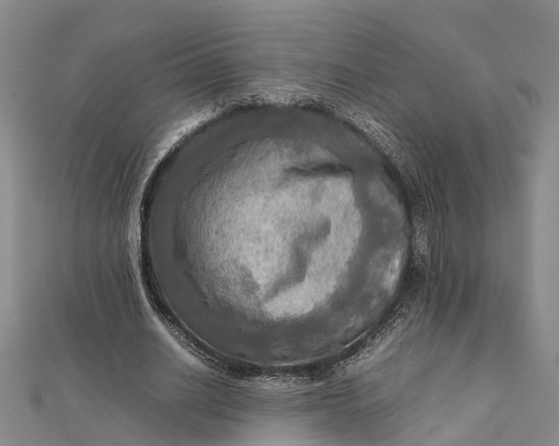 X0000112090630200908251128