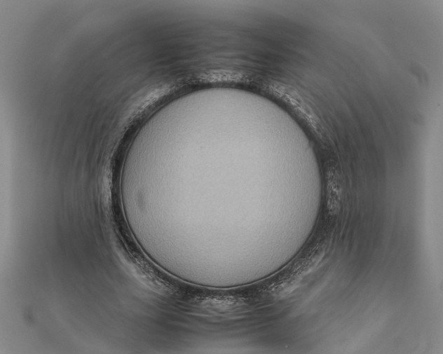 X0000112090631200908251128