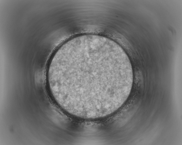 X0000112090632200908251128