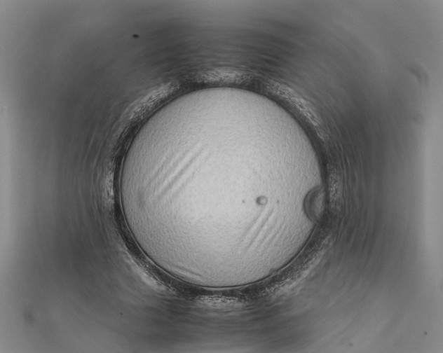 X0000112090633200908251128