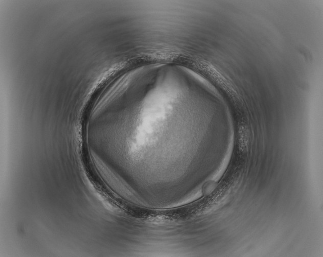 X0000112090634200908251128