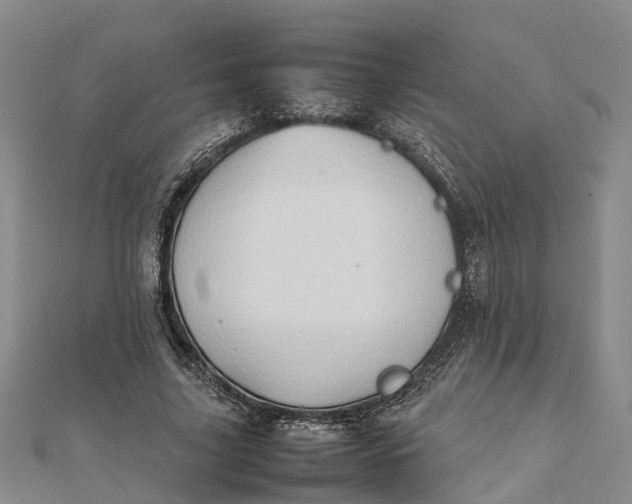 X0000112090635200908251128