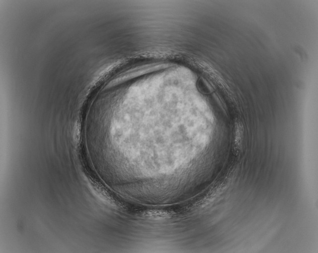 X0000112090636200908251128