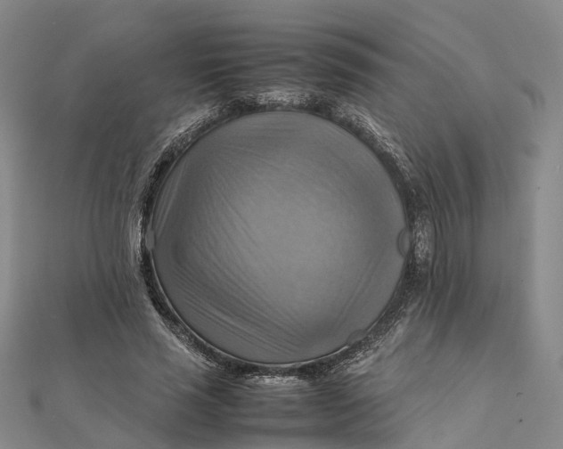 X0000112090637200908251128